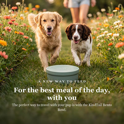 Product image with headline, body copy, and a call-to-action button composited on top